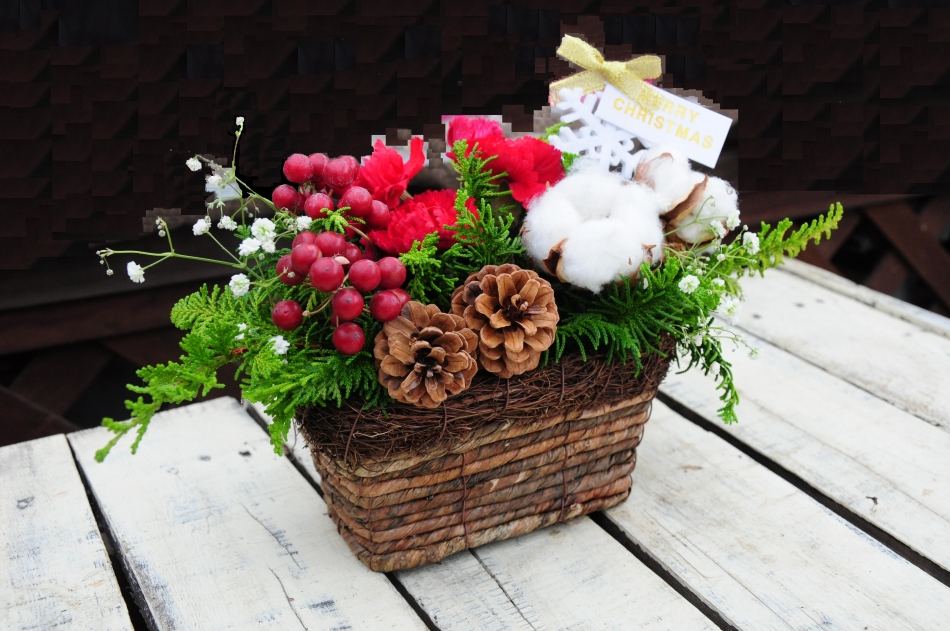 咲かせ育てる花の体験