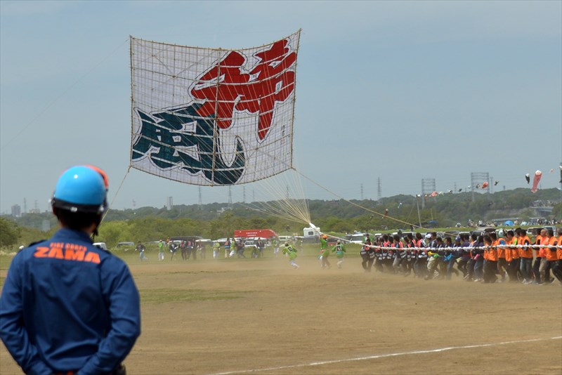 2017　座間　大凧まつり