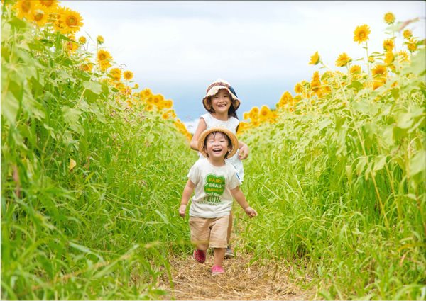 第17回座間ひまわり写真コンテスト入賞・入選作品