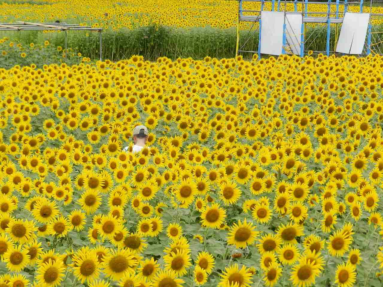 座間魅力発見写真特別セミナーー