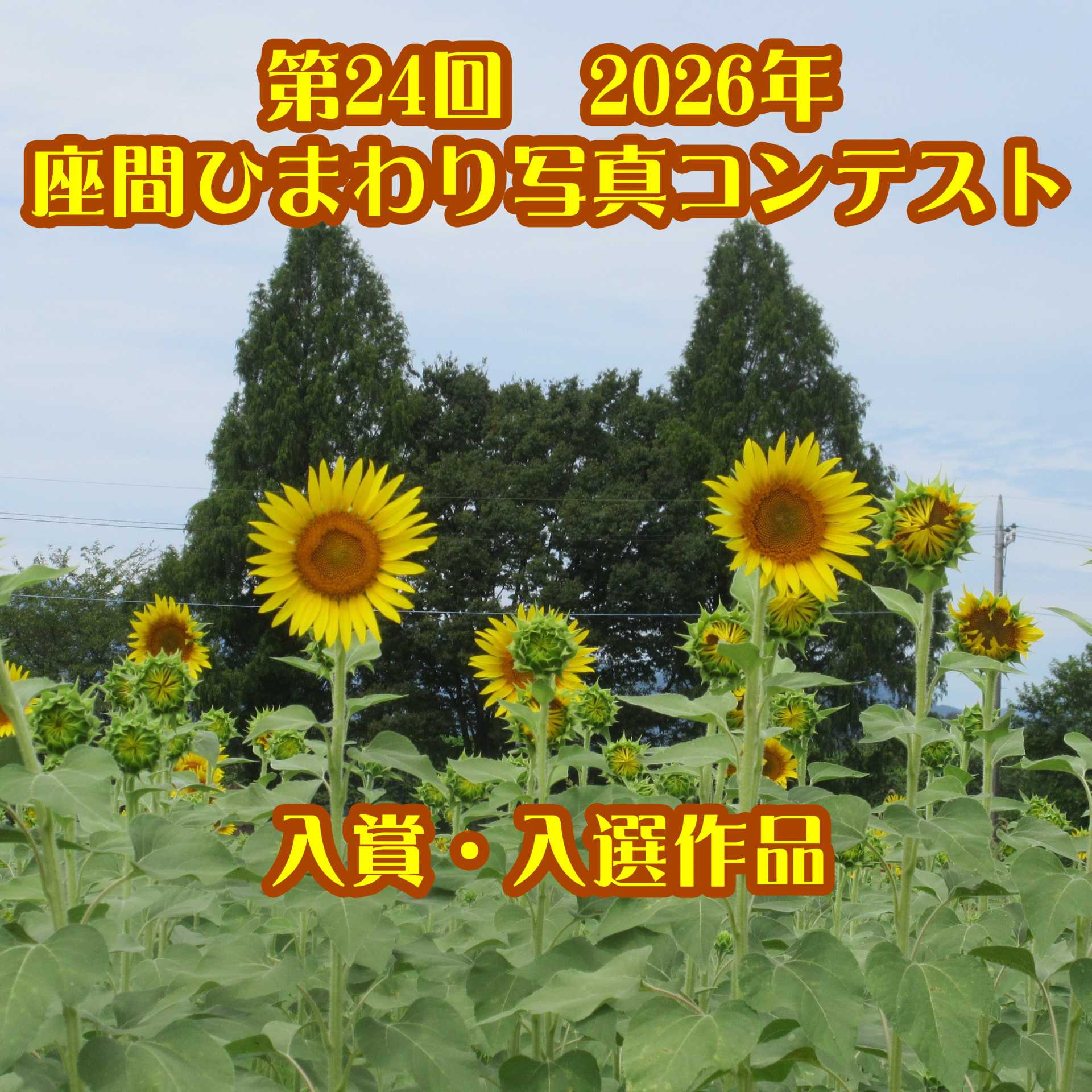 第24回座間ひまわり写真コンテスト入賞・入選結果発表