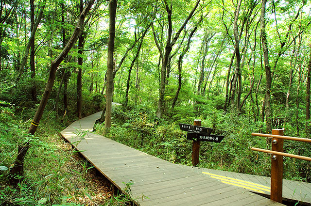 谷戸山公園