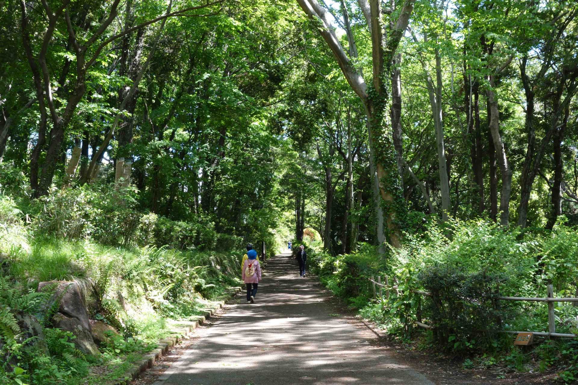 谷戸山 | 座間公園 – BWAYO