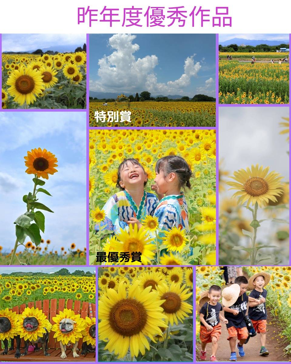 第24回ひまわり写真コンテスト最優秀賞作品